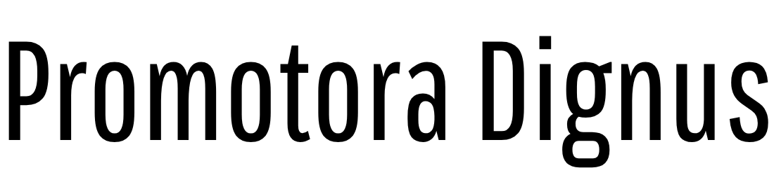 logotipo promotora dignus
